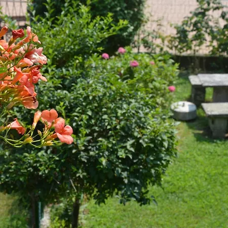 Il Giardino Di Elena 아파트 바메노